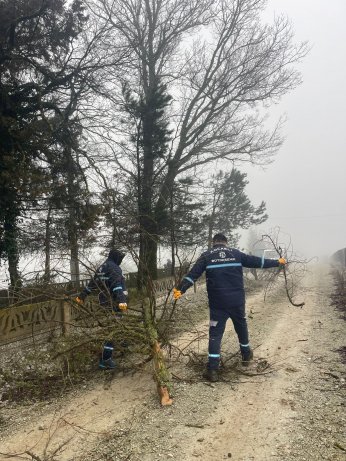 Mezarlıklarda budama ve ot biçme çalışması