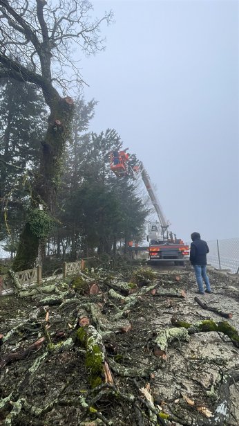 Mezarlıklarda budama ve ot biçme çalışması
