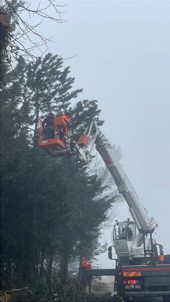 Mezarlıklarda budama ve ot biçme çalışması
