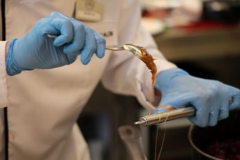 Gastro Genç’te sıfır atık, kıyasıya rekabet