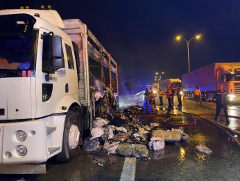 Tekstil yüklü kamyon alevlere teslim oldu