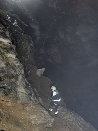 Kayalıklardaki sürüye cansiparane kurtarma