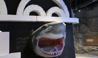 Dev projede geri sayım başladı