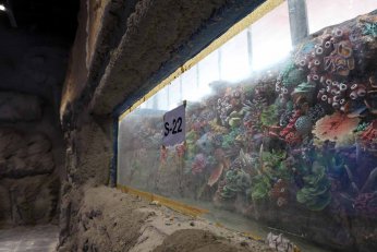 Dev projede geri sayım başladı