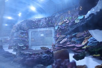 Dev projede geri sayım başladı