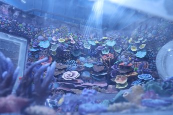 Dev projede geri sayım başladı