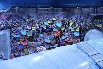 Dev projede geri sayım başladı