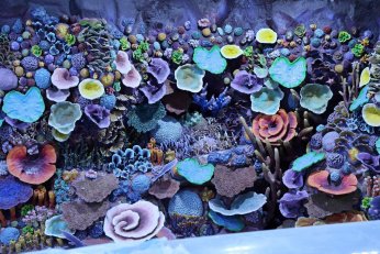 Dev projede geri sayım başladı