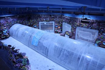 Dev projede geri sayım başladı