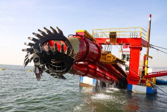 Deniz ekosistemi yeniden hayat buldu