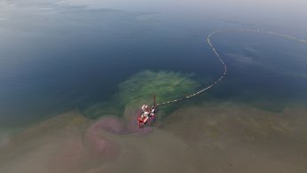 Deniz ekosistemi yeniden hayat buldu