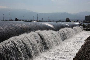 Deniz ekosistemi yeniden hayat buldu