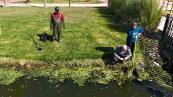 Gölette ekosistem için bilimsel çalışma