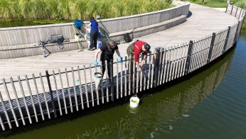 Gölette ekosistem için bilimsel çalışma