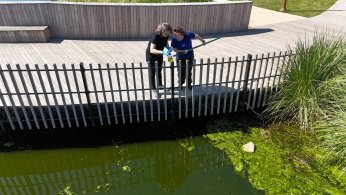 Gölette ekosistem için bilimsel çalışma