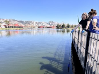 Gölette ekosistem için bilimsel çalışma