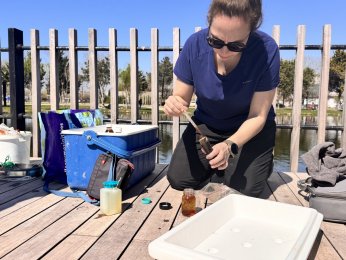 Gölette ekosistem için bilimsel çalışma