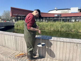 Gölette ekosistem için bilimsel çalışma