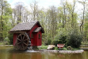 Baharın en güzel hali Ormanya’da yaşanıyor