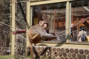Baharın en güzel hali Ormanya’da yaşanıyor