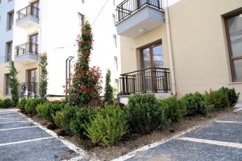 Cedit’te ilerleme oranı yüzde 87