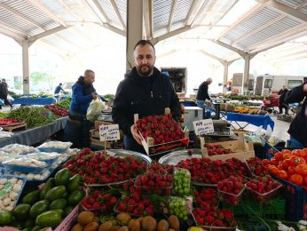 Semt pazarında çilek bolluğu