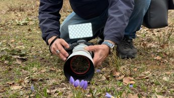 Nadide tür etkileyici karelerle ölümsüzleşti