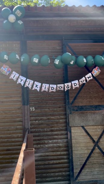 Ormanya’da doğan yavru deve için renkli kutlama