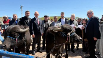 Büyükşehir’den hayvancılığa destek