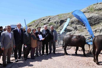 Büyükşehir’den hayvancılığa destek