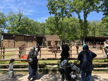 Ormanya’nın yeni üyesine isim arayışı