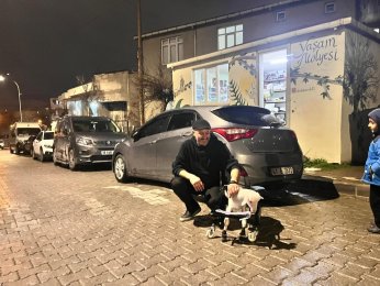 Felçli canlara umut oluyor