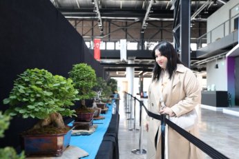 Bonsai tutkunları Kocaeli’de buluştu