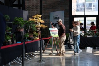 Bonsai tutkunları Kocaeli’de buluştu
