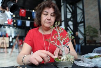 Bonsai tutkunları Kocaeli’de buluştu
