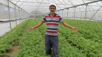 Büyükşehir’den yüzde 50 hibeli sera desteği