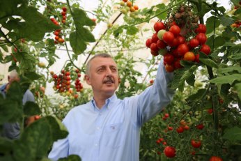 Büyükşehir’den yüzde 50 hibeli sera desteği
