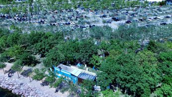 Balık dürüm lezzeti şimdi de İzmit’te