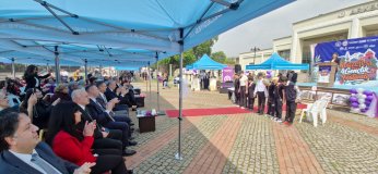 Müzefest’te renkli görüntüler oluştu