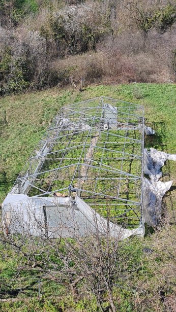 Seraları zarar gören üreticilere destek