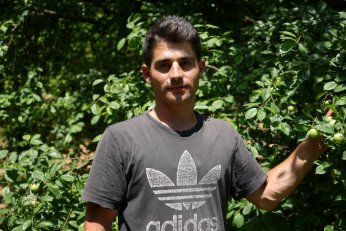 Eşme eriğinde  yüksek rekolte   