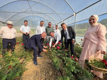 Kocaeli’nin ilk gül serası kadın elinden
