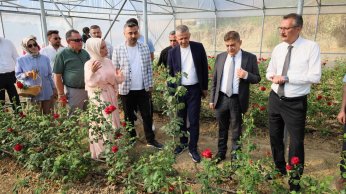 Kocaeli’nin ilk gül serası kadın elinden