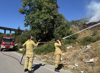 İzmit'te ağaçlık alanda yangın