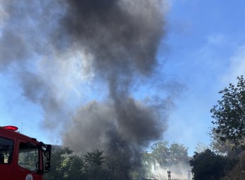 İzmit'te ağaçlık alanda yangın