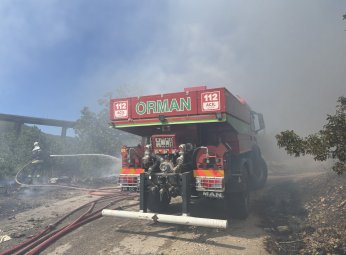 İzmit'te ağaçlık alanda yangın