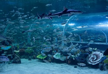 Körfez Aqua, 41 bininci ziyaretçisini ağırladı