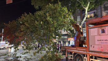 Kopan ağaç dalı tramvay seferlerini aksattı