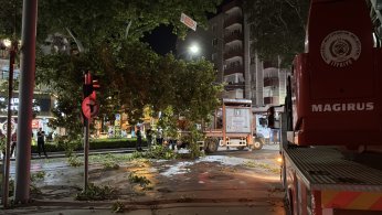 Kopan ağaç dalı tramvay seferlerini aksattı