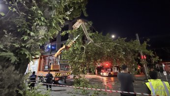 Kopan ağaç dalı tramvay seferlerini aksattı